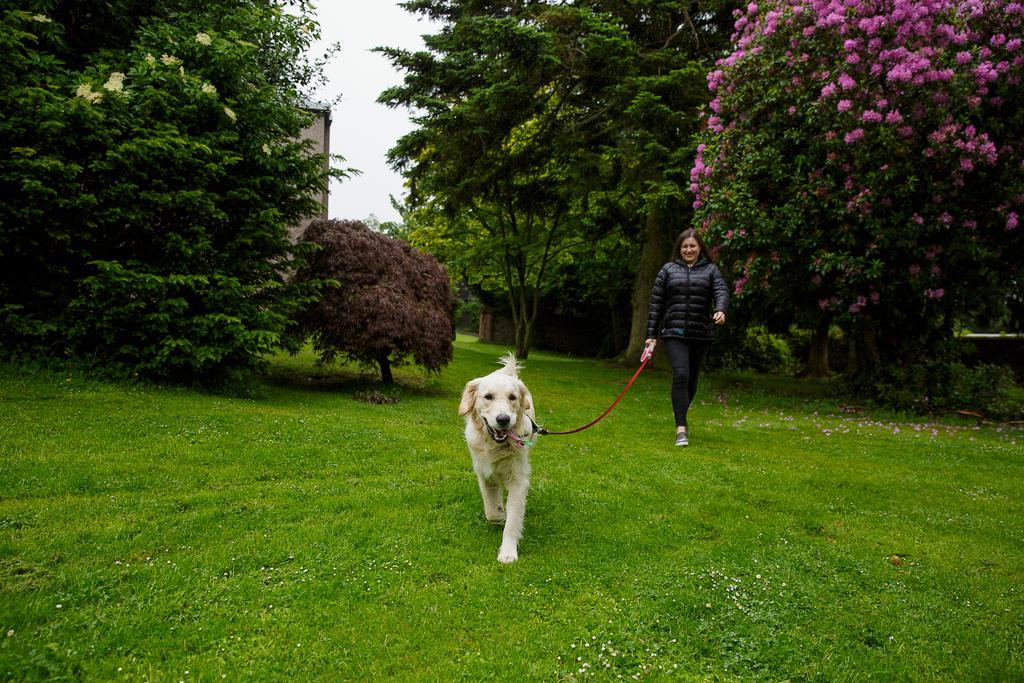 The Murray Park Hotel Crieff Eksteriør billede